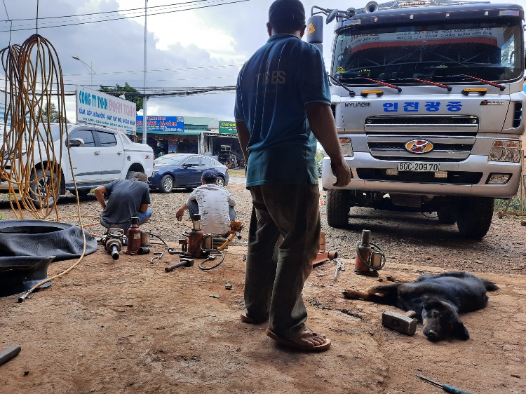 Công ty tnhh mtv đoàn tuấn