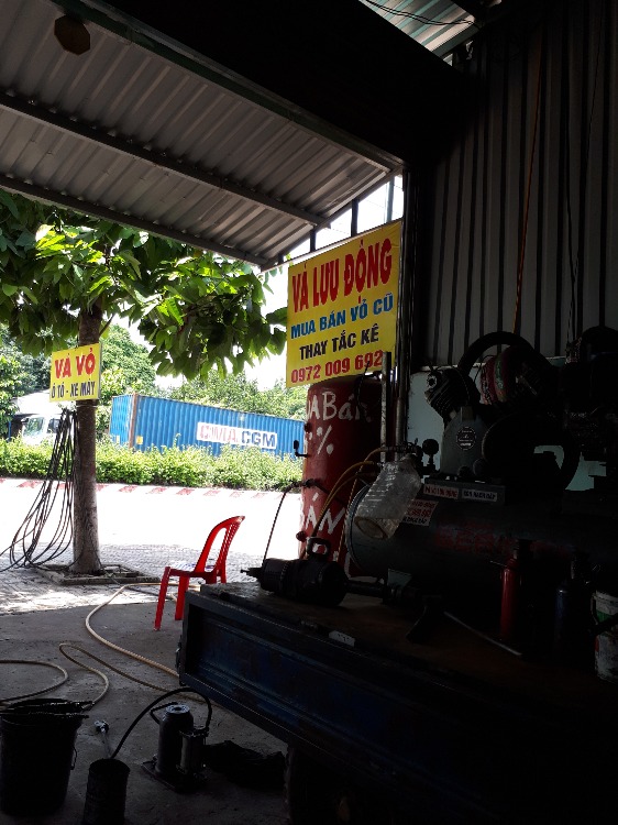 Trần đông